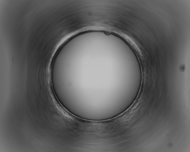 X0000100921238200806241105