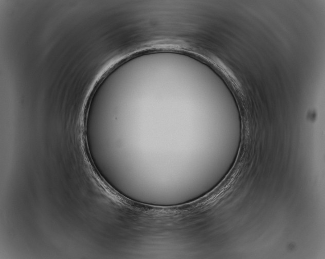 X0000100921240200806241105