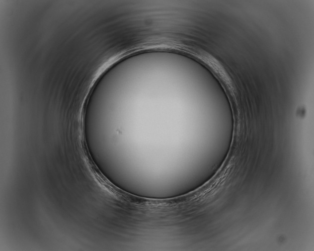 X0000100921242200806241105