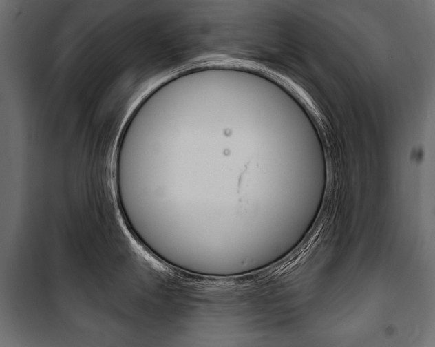 X0000100921247200806241105