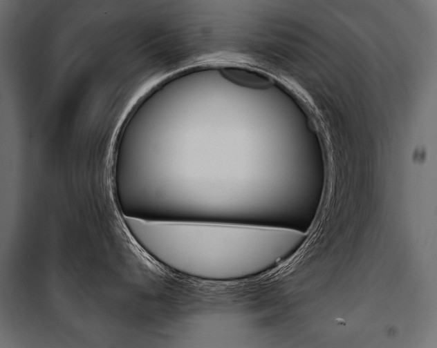 X0000100921248200806241106