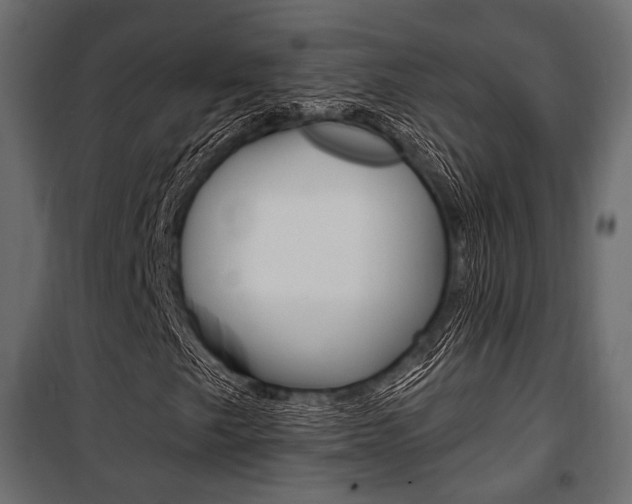 X0000100921249200806241105