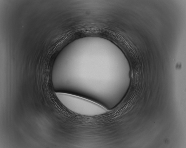 X0000100921250200806241105