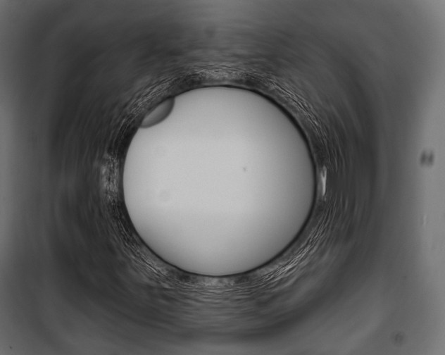 X0000100921251200806241105