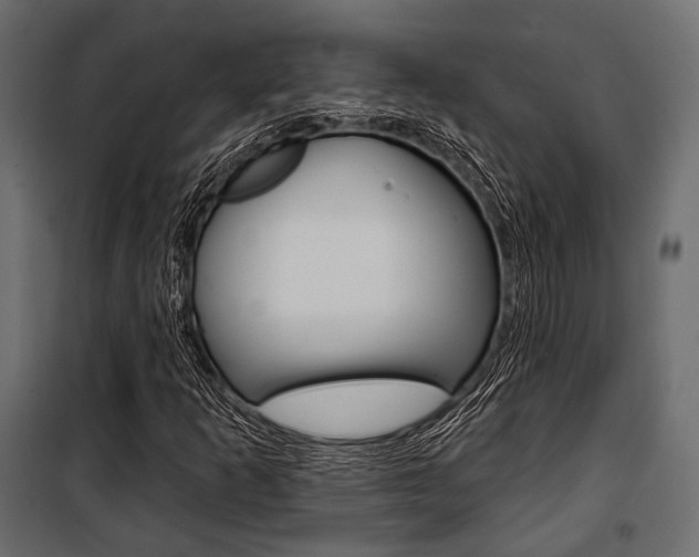 X0000100921253200806241105