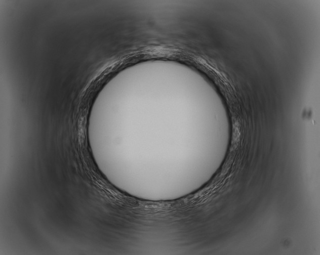 X0000100921254200806241105
