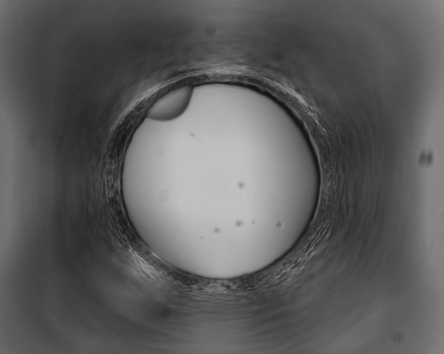 X0000100921255200806241105