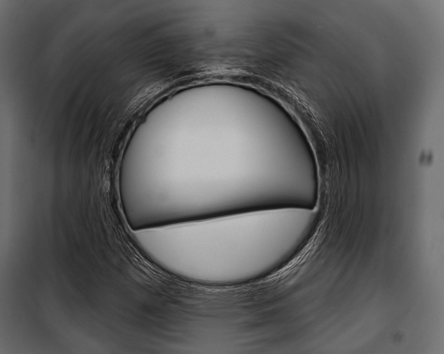 X0000100921257200806241105