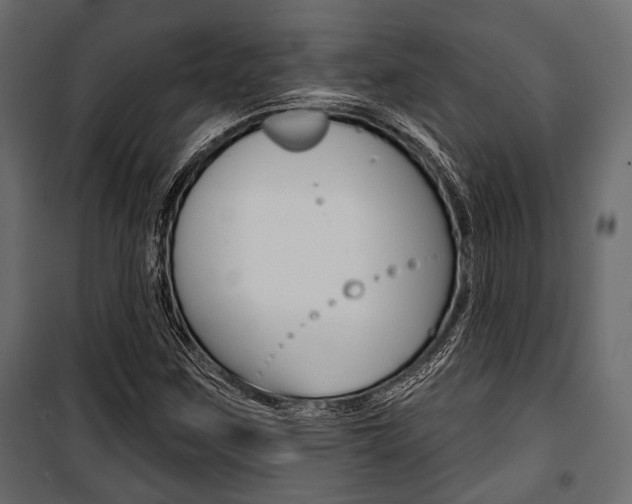 X0000100921259200806241105