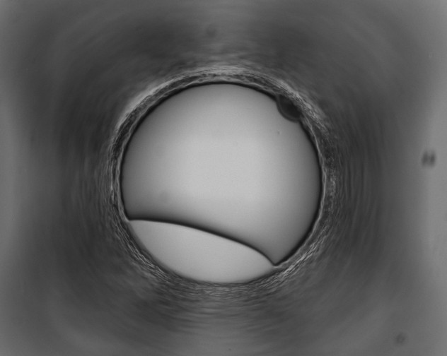 X0000100921262200806241105