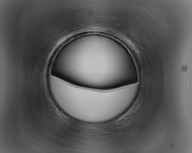 X0000100921264200806241105