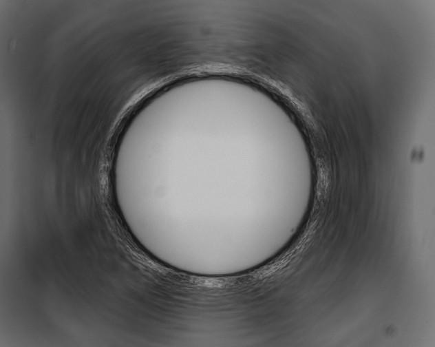 X0000100921266200806241105