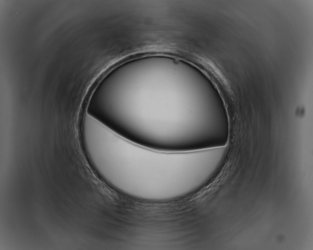 X0000100921268200806241105