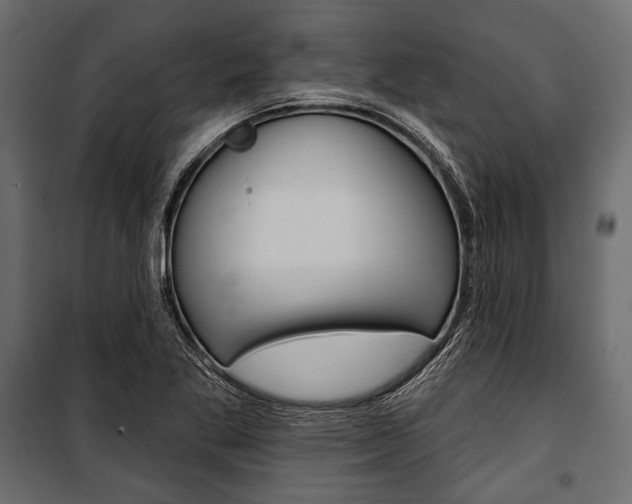 X0000100921269200806241105