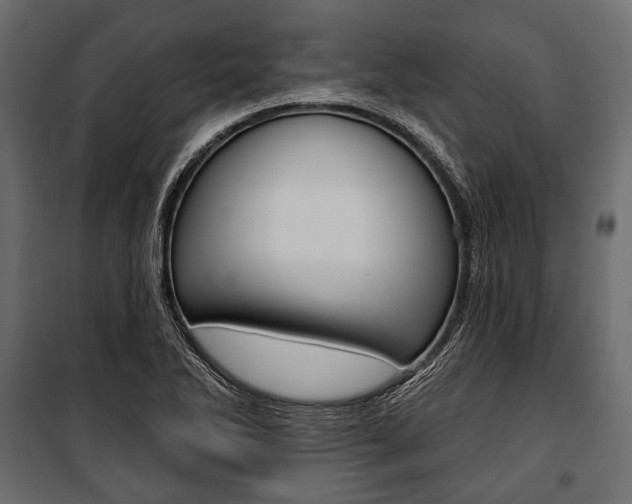 X0000100921270200806241104