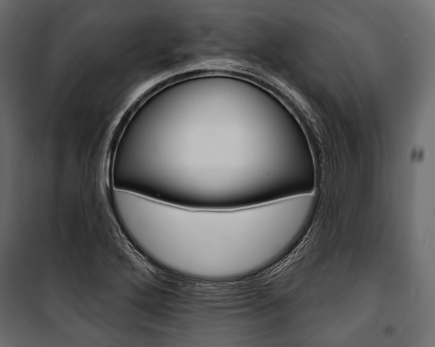X0000100921272200806241104