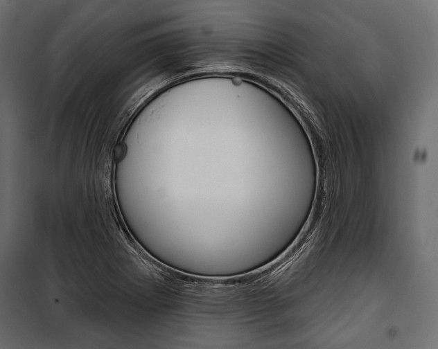 X0000100921273200806241104