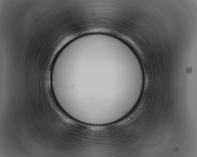 X0000100921274200806241104