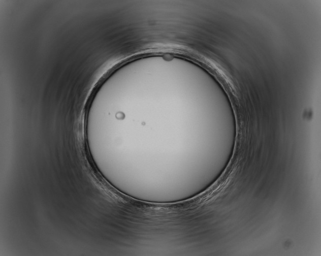 X0000100921275200806241104