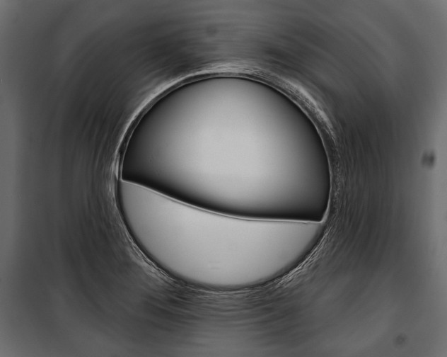 X0000100921276200806241104