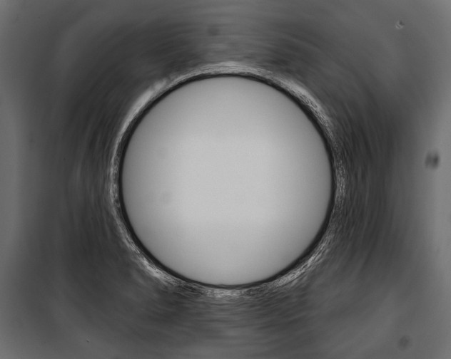 X0000100921278200806241104