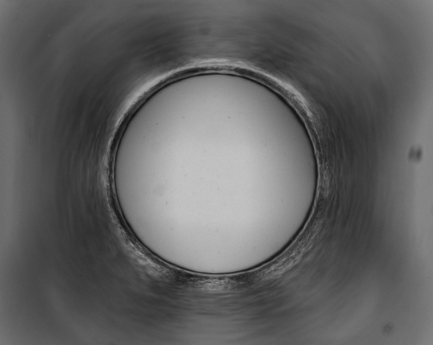 X0000100921279200806241104