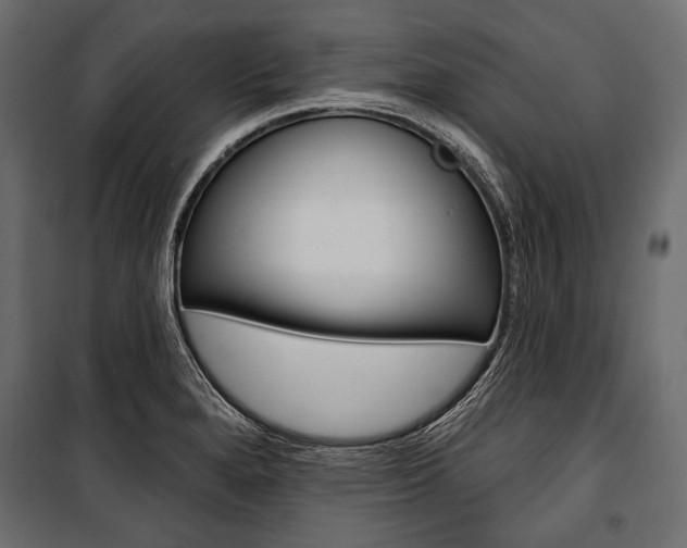X0000100921280200806241104