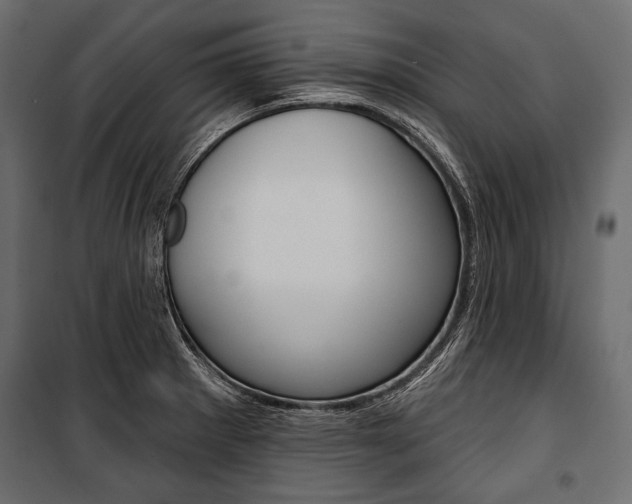 X0000100921281200806241104