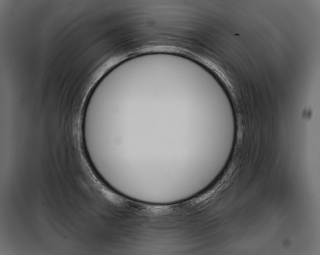 X0000100921282200806241104