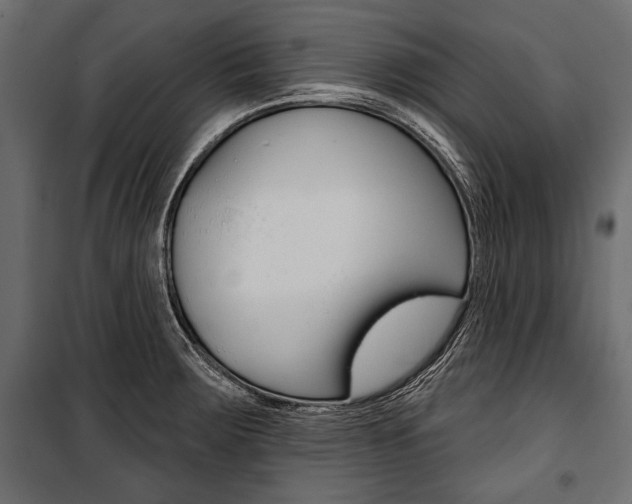 X0000100921283200806241104