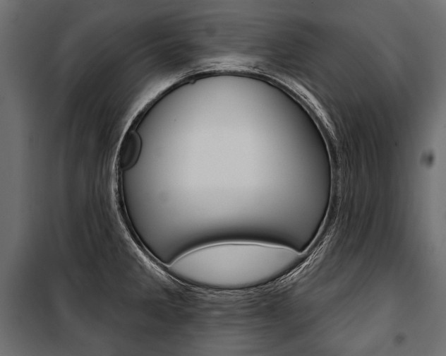 X0000100921285200806241104