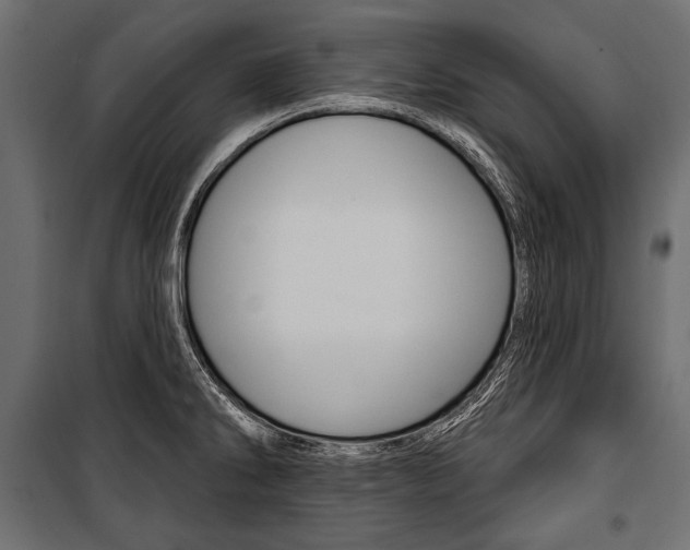 X0000100921286200806241104