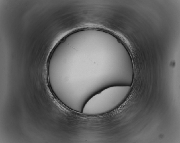 X0000100921287200806241104