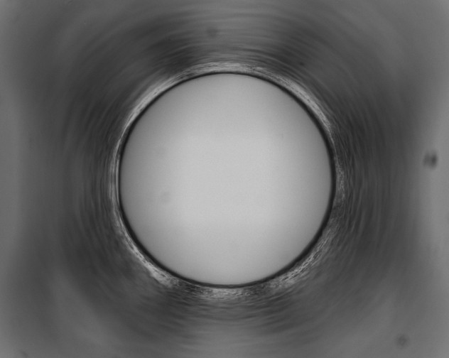 X0000100921290200806241104