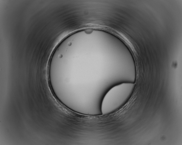 X0000100921291200806241104