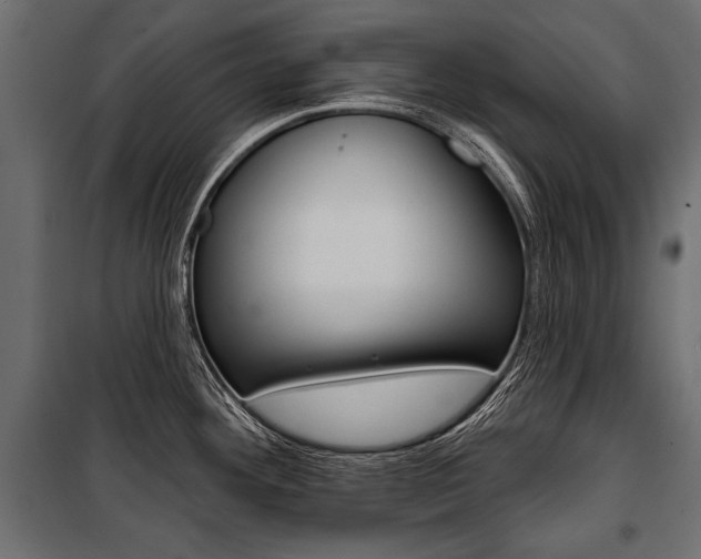 X0000100921292200806241104