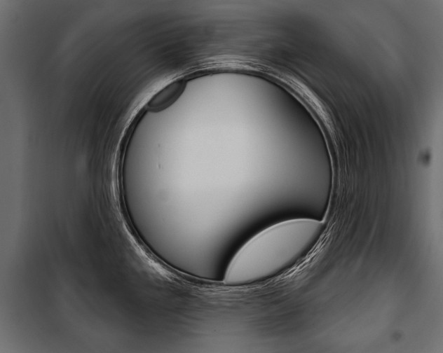 X0000100921293200806241104