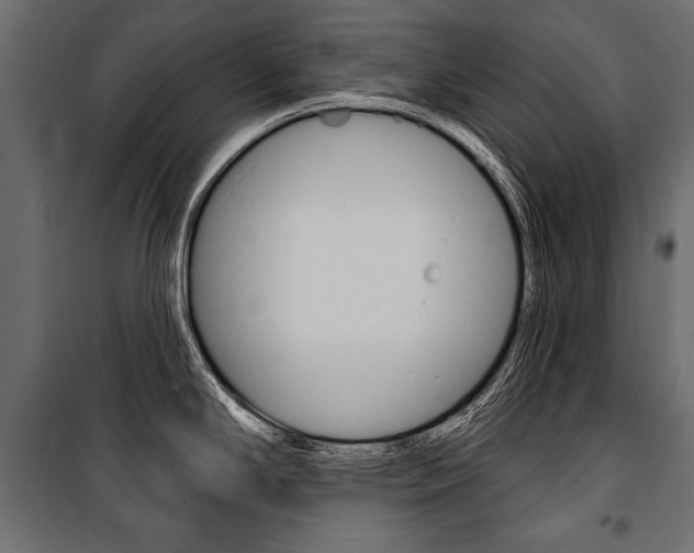 X0000100921294200806241104
