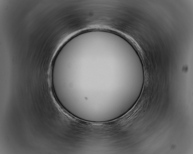 X0000100921295200806241104