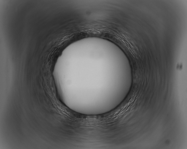 X0000100921297200806241103