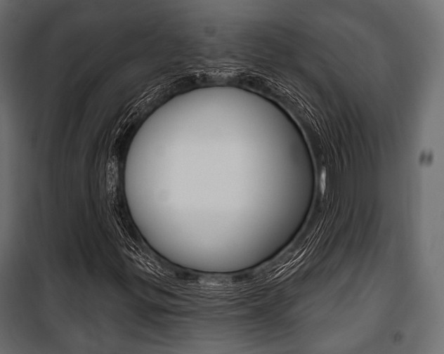 X0000100921299200806241103