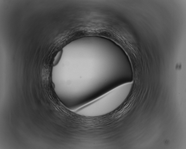 X0000100921300200806241103