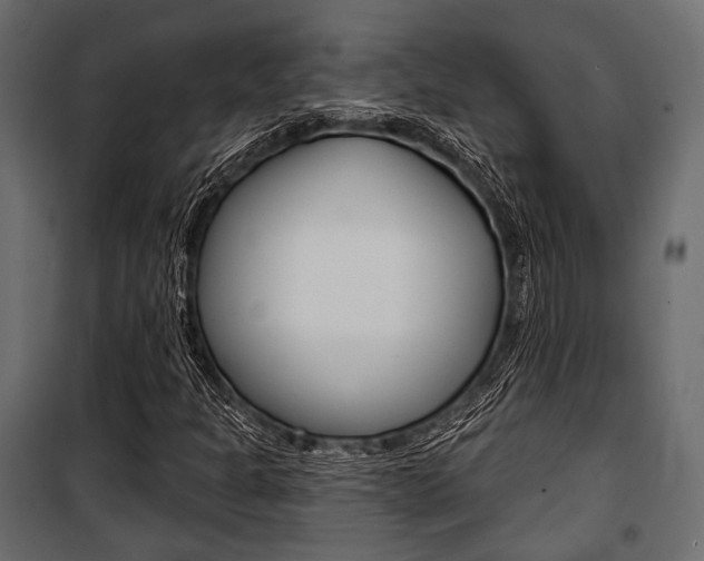 X0000100921301200806241103