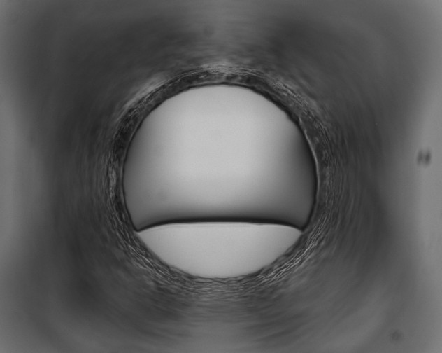 X0000100921302200806241103