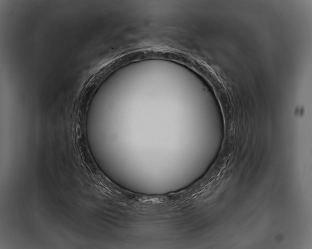 X0000100921303200806241104
