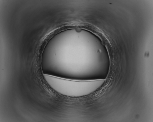X0000100921304200806241104