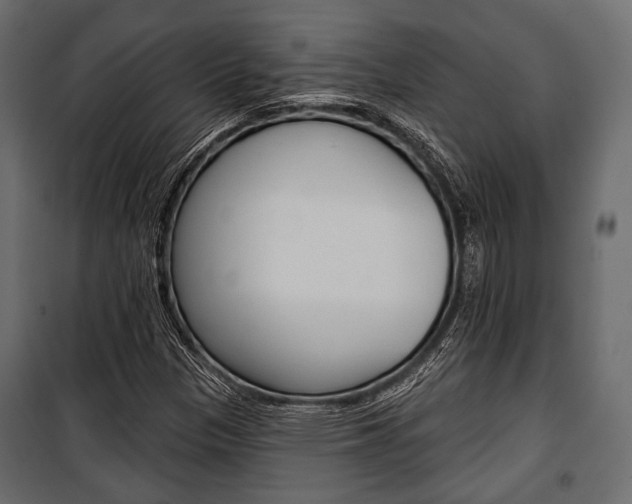 X0000100921305200806241104