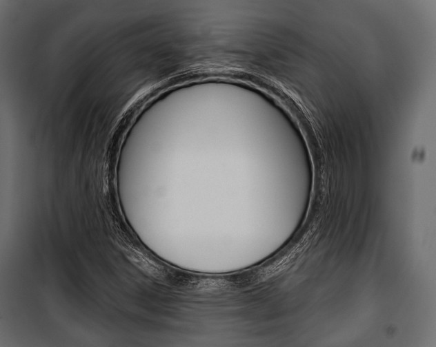 X0000100921306200806241104
