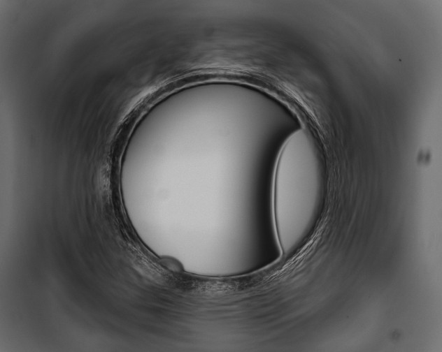 X0000100921307200806241104
