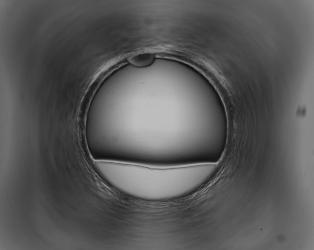 X0000100921308200806241104